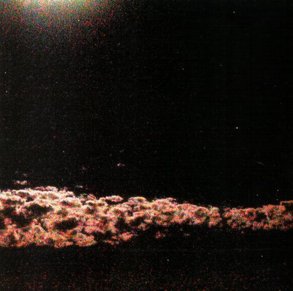 Xeno Volcano - her longest swim