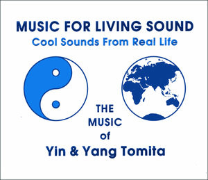 Yann Tomita - Sensory Sound Systems in A.S.L.