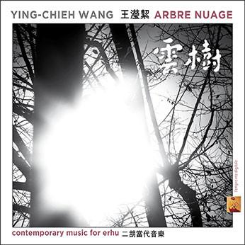 Ying-Chieh Wang - Le discours d'une larme perdue