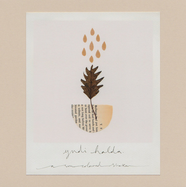 Yndi Halda - We Flood Empty Lakes
