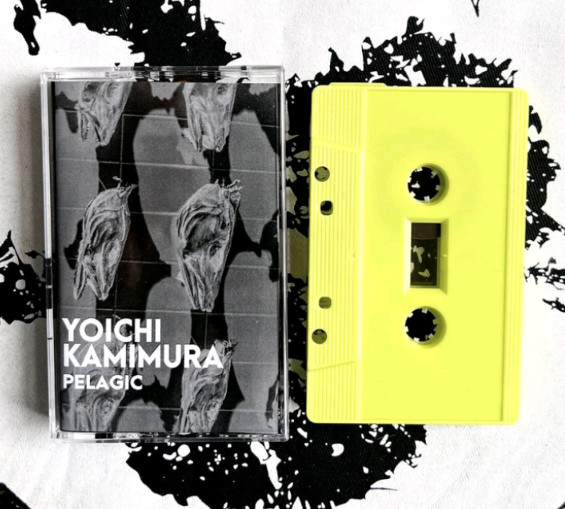 Yoichi Kamimura - ryūhyō