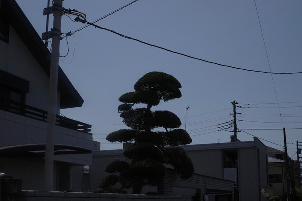 Yusaku Arai - ocean, sea, ocean.