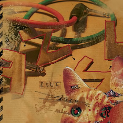 ZSUF - iva