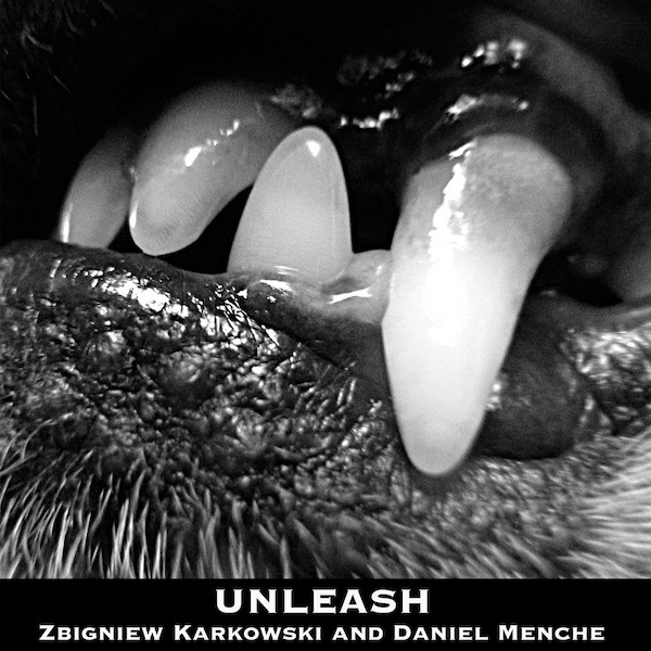 Zbigniew Karkowski & Daniel Menche - Unleash 3