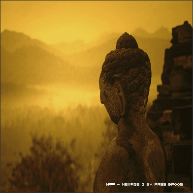 ZhangJW - Still Cold