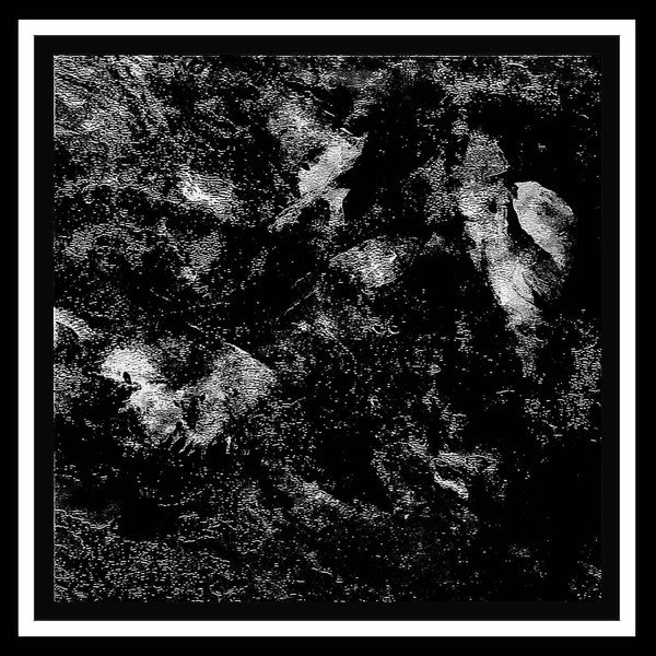 Ziost - Wasteland