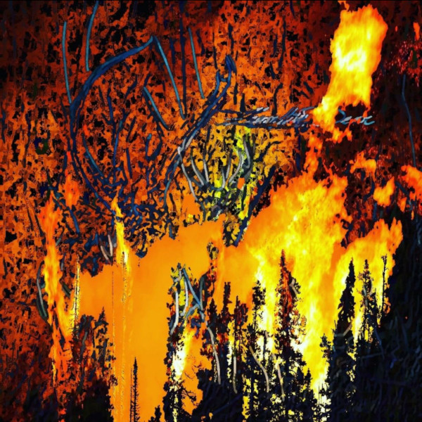 Zombie Deer - deer teeth