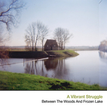 a vibrant struggle - Between The Woods And Frozen Lake