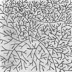 absurde - Ogni Pensiero Vola