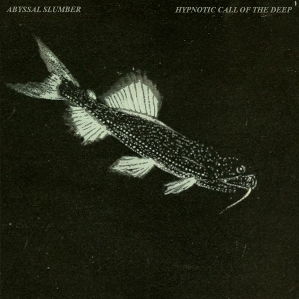 abyssal slumber - Funeral for the Benevolent