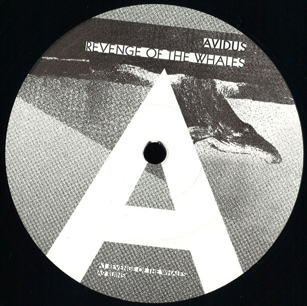 avidus - Vangelis