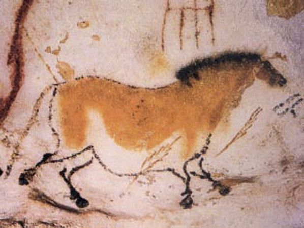 cave animals - I cry when the rabbits die