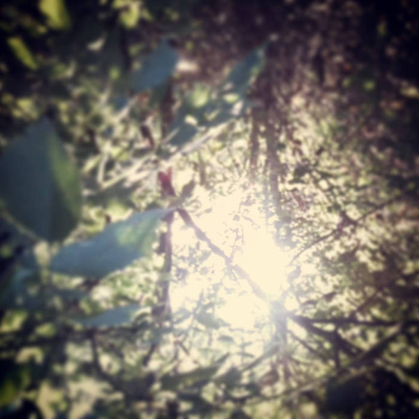 cetieu - The Morning