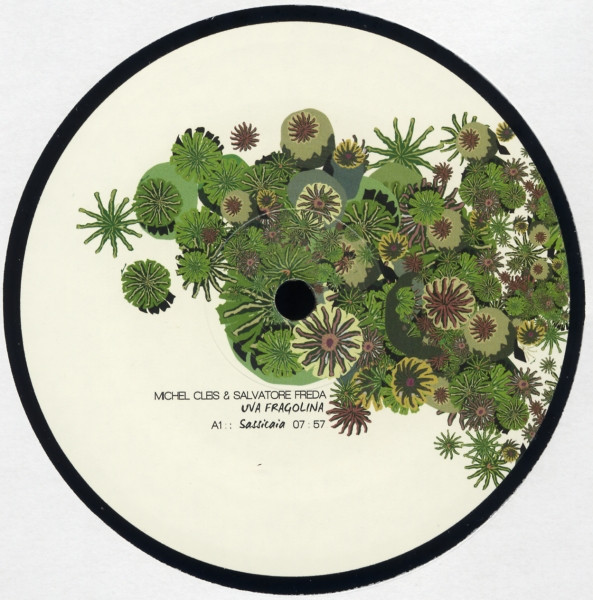 cleis & freda - sassicaia