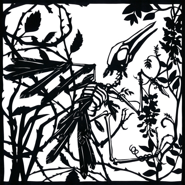 cyanotype - serialism