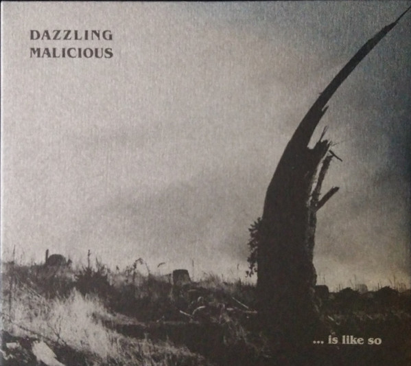 dazzling malicious - Katzenfabrik