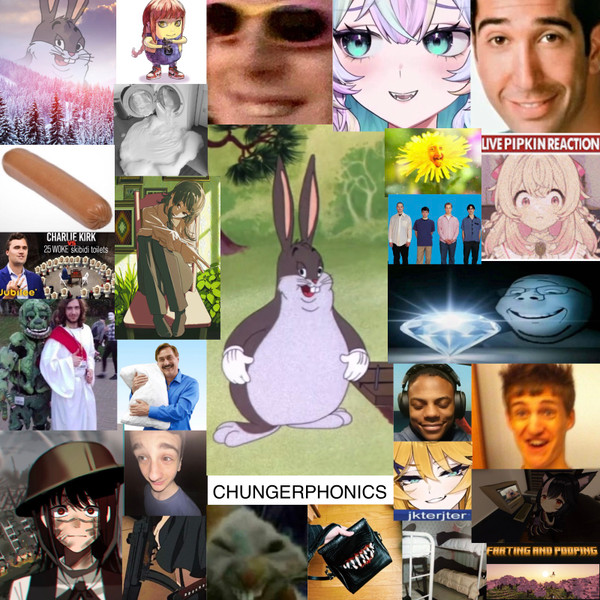 dj chungus - Chungerphonics