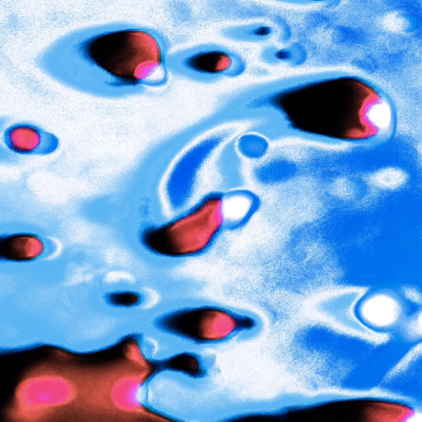 dlght - dawn