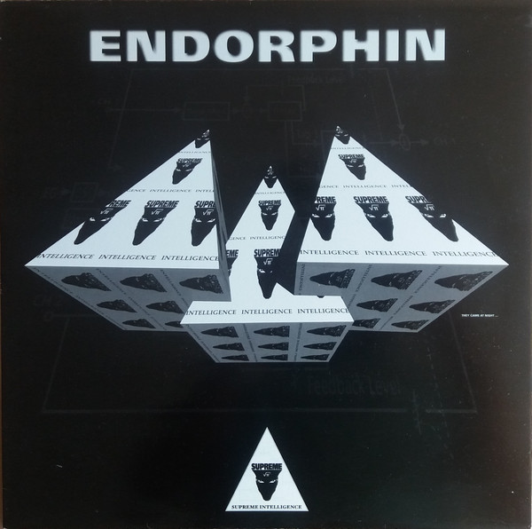 endorphin - Lila