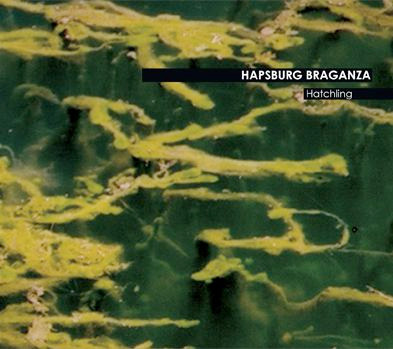 hapsburg braganza - hatchling