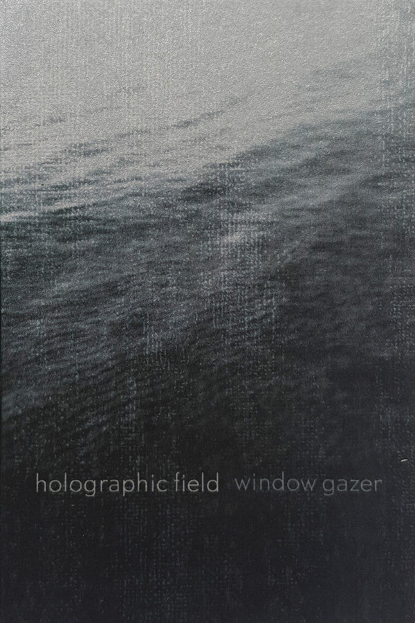holographic field - Window Gazer