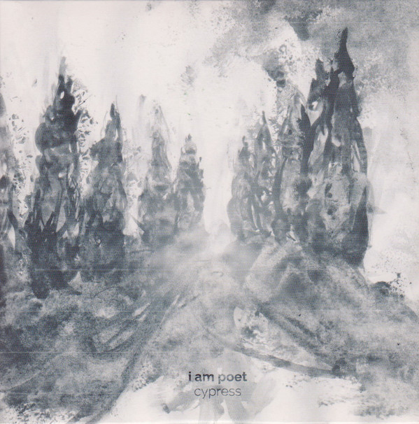 i am poet. - flashing lights