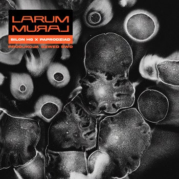 larum - Heavy Weather