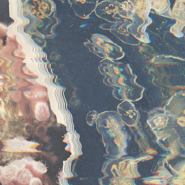 laskovoe echo - effervescent universe
