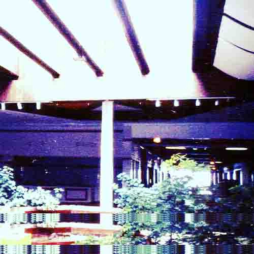 memorex dawn - luxx