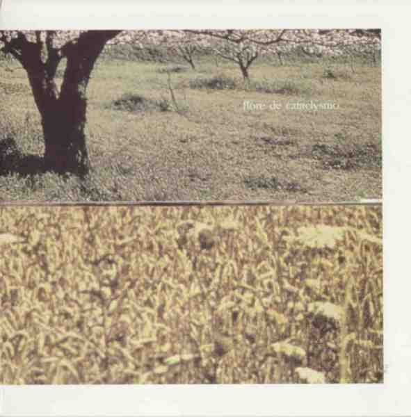 michel doneda / giuseppe ielasi / ingar zach - run fingers over turquoise