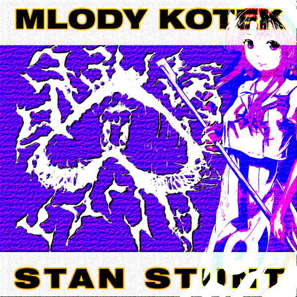 mlody kotek - KAMEL
