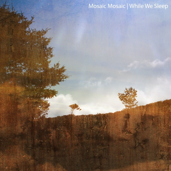 mosaic mosaic - While We Sleep