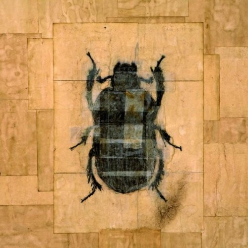 mueros - a+j