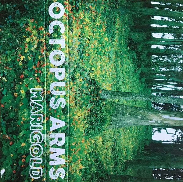 octopus arms - mitternachtsmelancholie