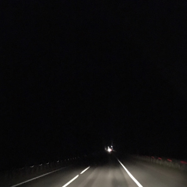 otdushina - dance, bitch