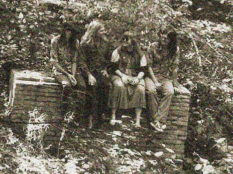 petals - Chase Atlantic - Swim / Lyrics