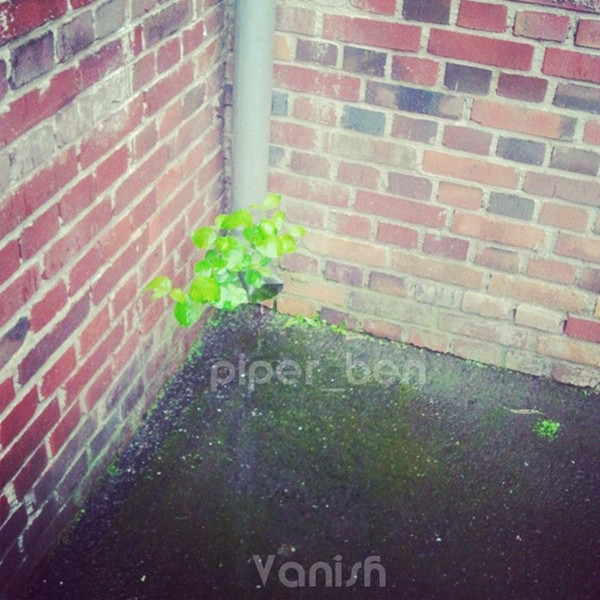 piper_ben - Song from Scratch