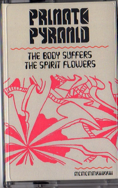 primate pyramid - sleeping backwards