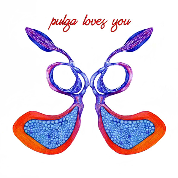 pulga - Return to the Forest of Shoes