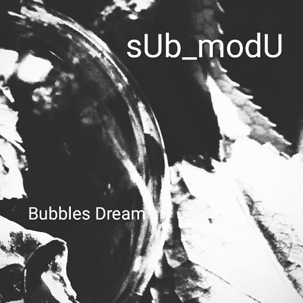 sUb_modU - Expensive Shit