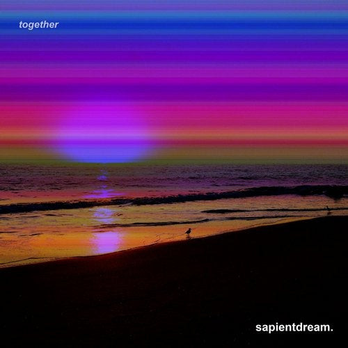 sapientdream - walls