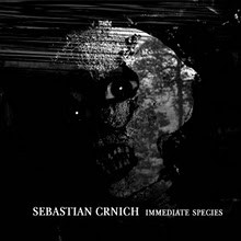 sebastian crnich - Pay Street