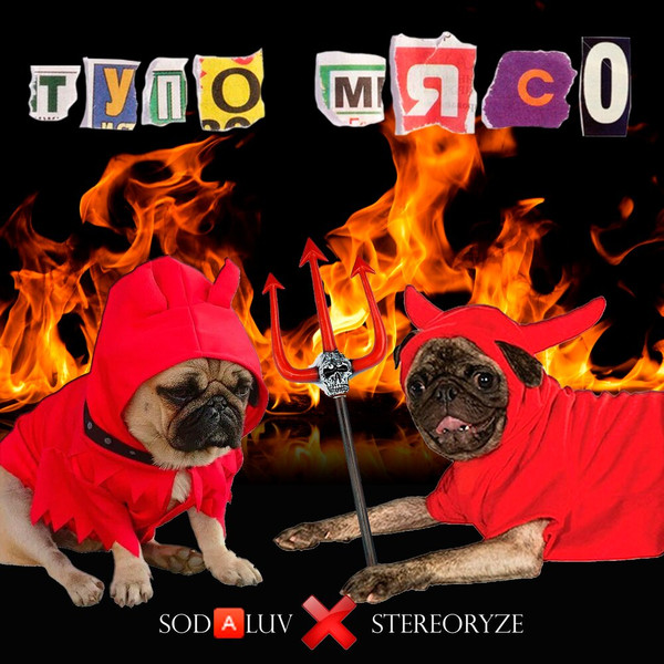 stereoRYZE - Die From $uicide