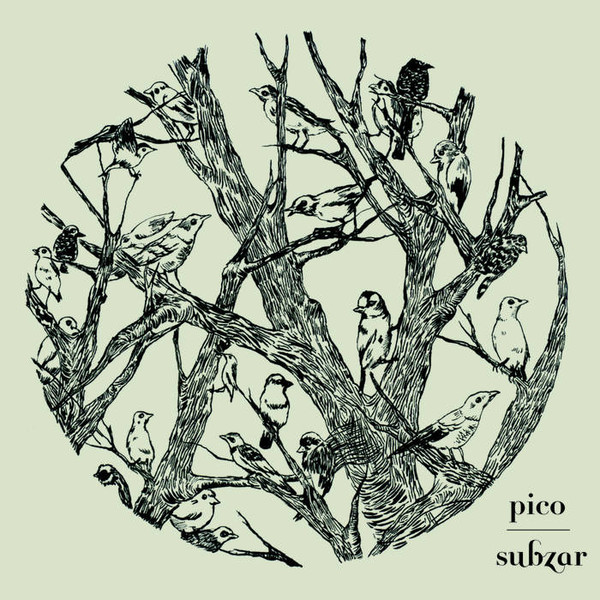 subzar - the drum of ceaseless echo
