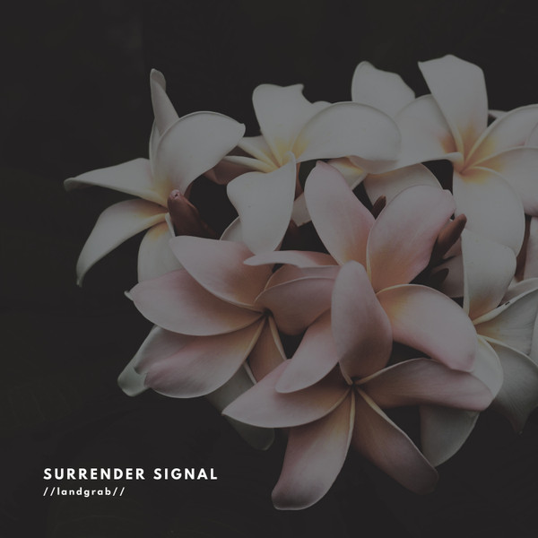 surrender signal - box