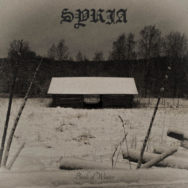 syrja - Dither Not!