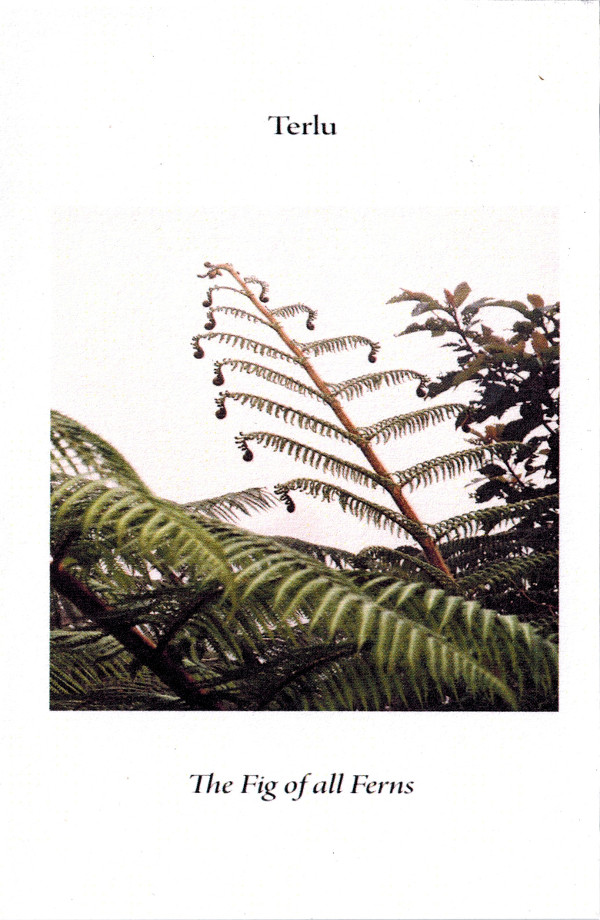 terlu - Seahorse