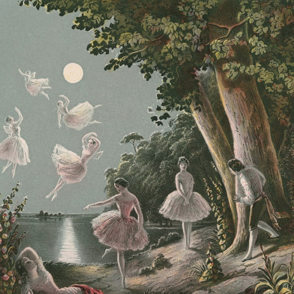 the fairy - Fantasia