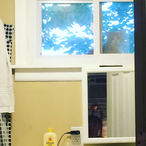 the healthy home - make time