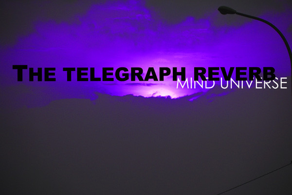 the telegraph reverb - Common Sense People